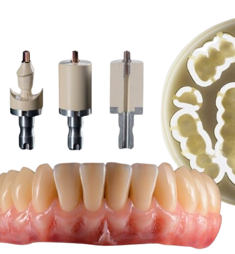 Bredent Digital Solutions