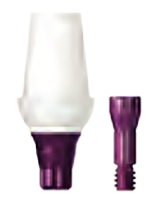 BioHPP copaSKY elegance abutment 0° height 4 mm