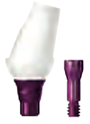 BioHPP copaSKY elegance abutment 15° height 4 mm