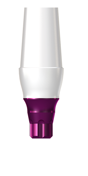 BioHPP copaSKY elegance S abutment 0°