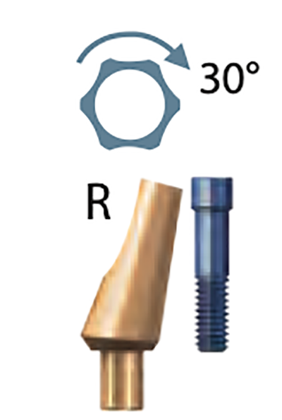 SKY Titanium abutment NP 15° R