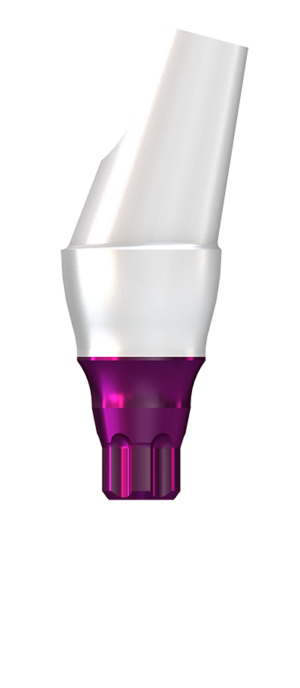 BioHPP copaSKY elegance S abutment 15°