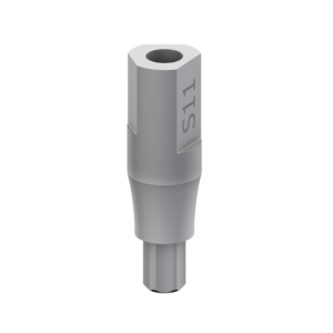 SKY scan abutment 11