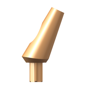 SKY Titanium abutment NP 25°