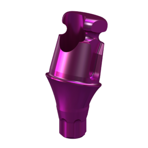 copaSKY EXSO abutment 17.5° height 2 mm